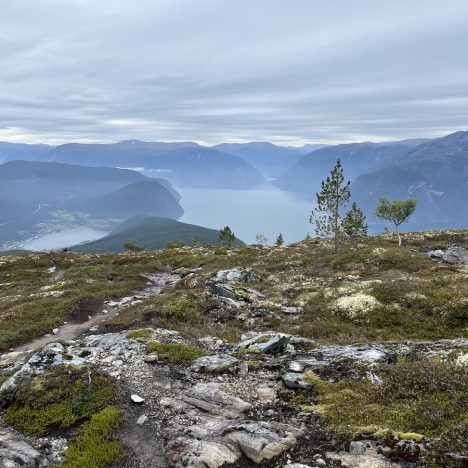 NIEUW! Wandelreis Zweeds Lapland