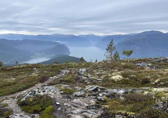 De fjorden van Noorwegen