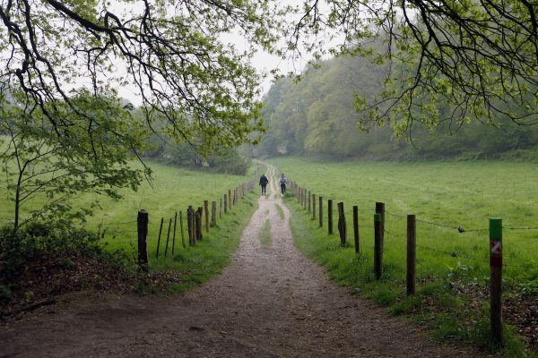 Systemisch wandelweekend: ontrafel je pad