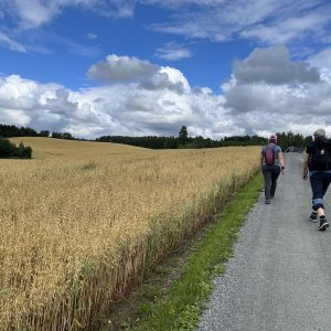 Eenpersoonskamer - Verrassend Noorwegen
