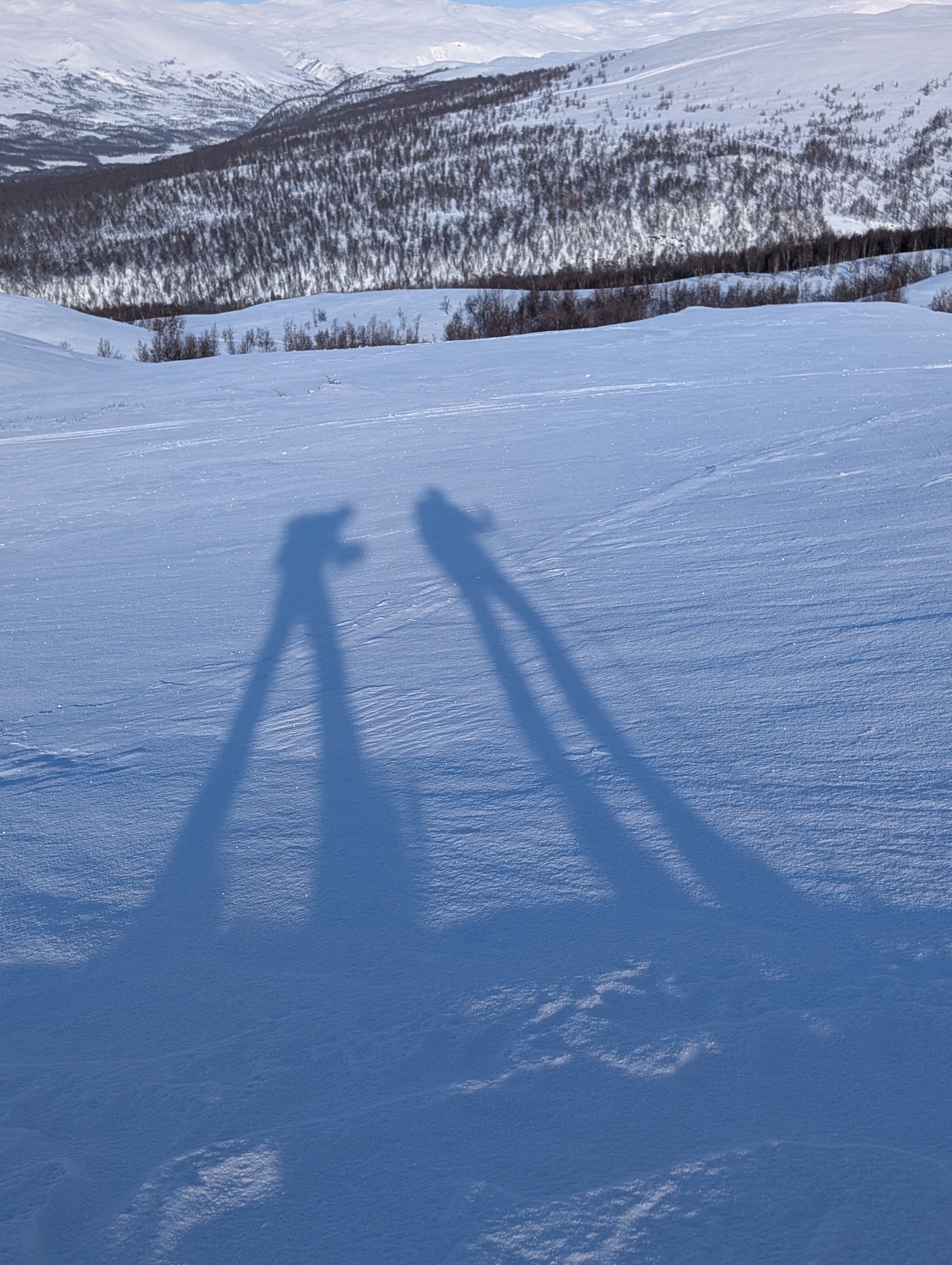 Wandelreis Winter in Zweeds Lapland - Afbeelding 3